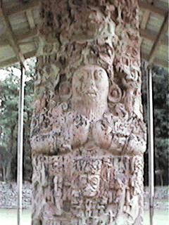 13 Rabits from the other side